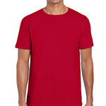 Photo of standard t-shirt